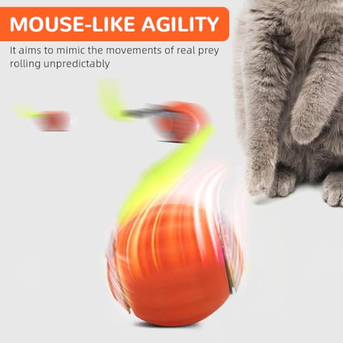 Qpets® Electric Cat Ball Toy Cat Teaser with 2 Speed Fun Speedy Chasing Teasing Tail Bell Charm Self Entertainment USB Rechargeable 3 PCS Qpets® Electric Cat Ball Toy Cat Teaser with 2 Speed Fun Speedy Chasing Teasing Tail Bell Charm Self Entertainment USB Rechargeable 3 PCS